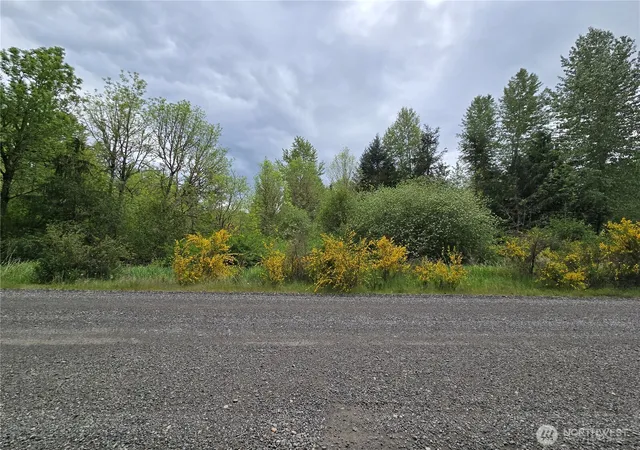 Photo 4 of Land for sale at 5102 Harts Lake Rd S, Roy, WA 98580 | MLS# NWM2442218 | Listing updated on 2026-09-24
