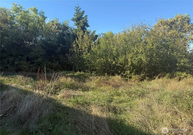 Photo 4 of Sale Pending at 2928 S Bradford St, Seattle, WA 98108 | MLS# NWM2443087 | Listing updated on 2026-09-20