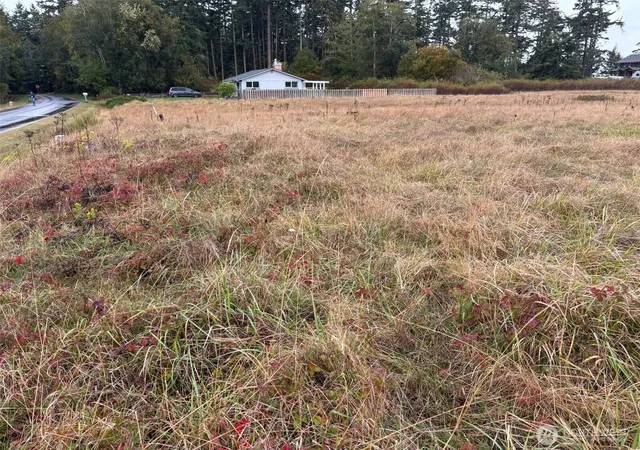 Photo 3 of Land for sale at 0 Monterey St, Coupeville, WA 98239 | MLS# NWM2443488 | Listing updated on 2026-10-02