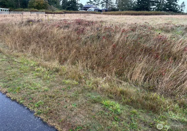 Photo 3 of Land for sale at 0 Monterey St, Coupeville, WA 98239 | MLS# NWM2443488 | Listing updated on 2026-10-02