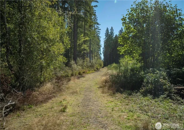 Photo 3 of Land for sale at 0 X 154th Ave NW, Gig Harbor, WA 98329 | MLS# NWM2446428 | Listing updated on 2026-09-18