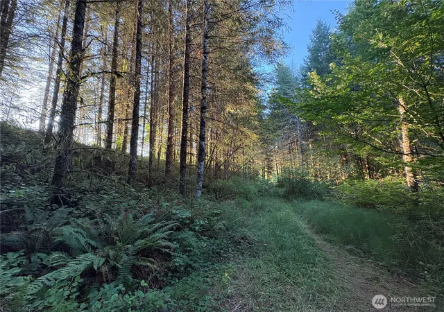 Photo 1 of Sale Pending at 0 Nka Frank Smith Rd, Toutle, WA 98649 | MLS# NWM2448042 | Listing updated on 2026-09-25