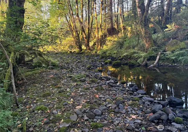 Photo 2 of Sale Pending at 0 Nka Frank Smith Rd, Toutle, WA 98649 | MLS# NWM2448042 | Listing updated on 2026-09-25