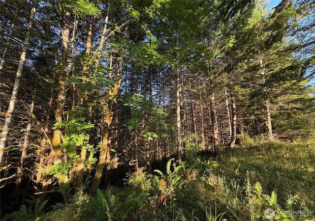 Photo 3 of Sale Pending at 0 Nka Frank Smith Rd, Toutle, WA 98649 | MLS# NWM2448042 | Listing updated on 2026-09-25