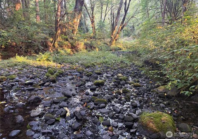 Photo 3 of Sale Pending at 0 Nka Frank Smith Rd, Toutle, WA 98649 | MLS# NWM2448042 | Listing updated on 2026-09-25