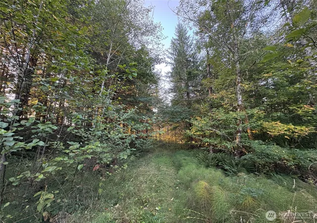 Photo 4 of Sale Pending at 0 Nka Frank Smith Rd, Toutle, WA 98649 | MLS# NWM2448042 | Listing updated on 2026-09-25