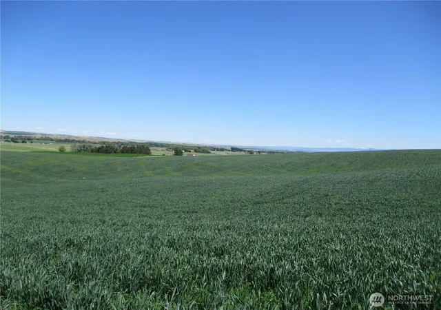 Photo 1 of Sale Pending at 4285 Detour Rd, Touchet, WA 99360 | MLS# NWM2456215 | Listing updated on 2026-09-25