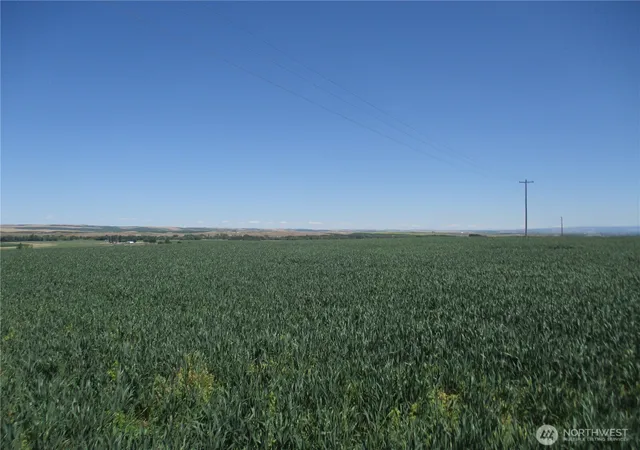 Photo 2 of Sale Pending at 4285 Detour Rd, Touchet, WA 99360 | MLS# NWM2456215 | Listing updated on 2026-09-25