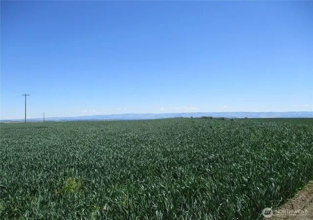 Photo 3 of Sale Pending at 4285 Detour Rd, Touchet, WA 99360 | MLS# NWM2456215 | Listing updated on 2026-09-25