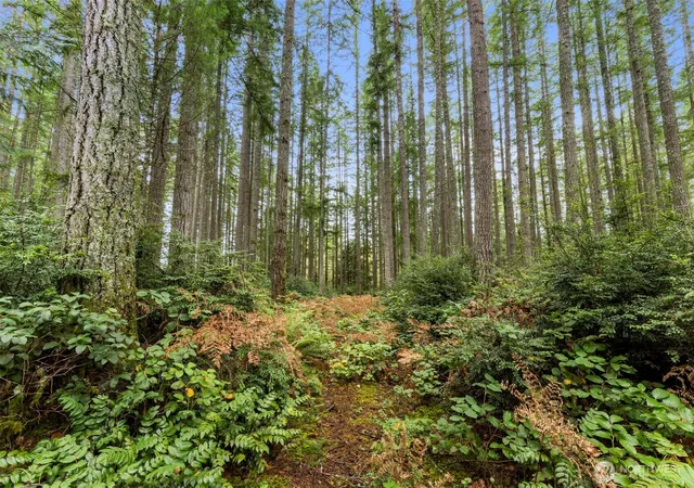 Photo 3 of Sale Pending at 5 Larson Ln NW, Seabeck, WA 98380 | MLS# NWM2457439 | Listing updated on 2026-07-02