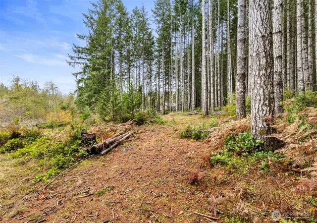 Photo 3 of Sale Pending at 3 Larson Ln Nw, Seabeck, WA 98380 | MLS# NWM2457443 | Listing updated on 2026-07-02