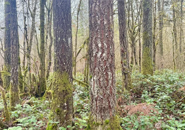Photo 3 of Sale Pending at 298 Boone Rd, Toledo, WA 98591 | MLS# NWM2458493 | Listing updated on 2026-08-23
