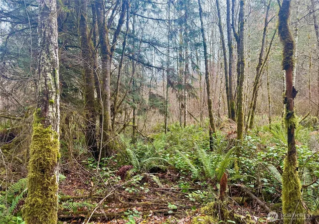 Photo 3 of Sale Pending at 298 Boone Rd, Toledo, WA 98591 | MLS# NWM2458493 | Listing updated on 2026-08-23