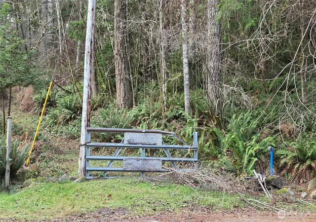 Photo 1 of Sale Pending at 0 Kautz Pl, Ashford, WA 98304 | MLS# NWM2458843 | Listing updated on 2026-06-16