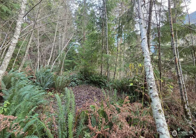 Photo 2 of Sale Pending at 0 Kautz Pl, Ashford, WA 98304 | MLS# NWM2458843 | Listing updated on 2026-06-16
