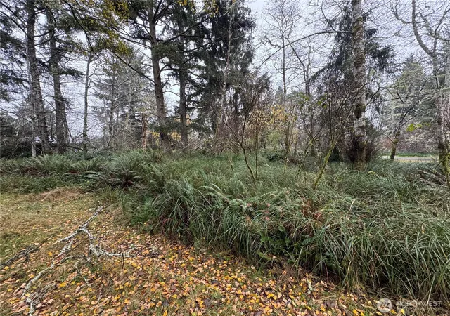 Photo 3 of Sale Pending at 764 Tern Ct, Ocean Shores, WA 98569 | MLS# NWM2459890 | Listing updated on 2026-09-25