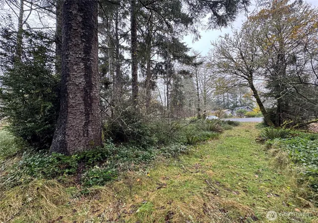 Photo 4 of Sale Pending at 764 Tern Ct, Ocean Shores, WA 98569 | MLS# NWM2459890 | Listing updated on 2026-09-25