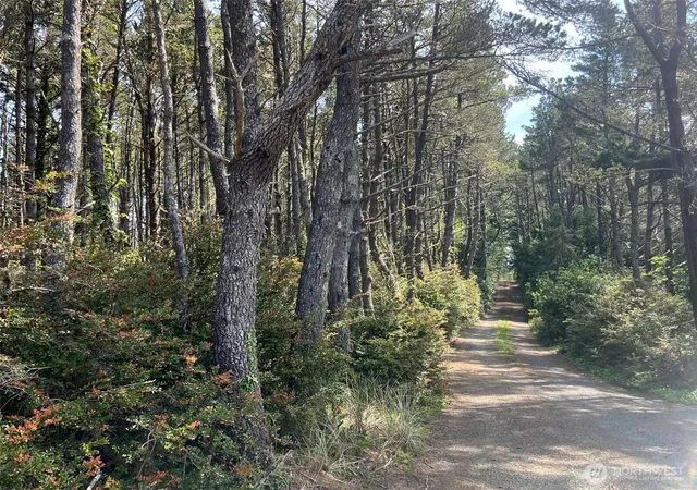 Photo 1 of Sale Pending at 1101 E Lot 231st Ln, Ocean Park, WA 98640 | MLS# NWM2460156 | Listing updated on 2026-08-23