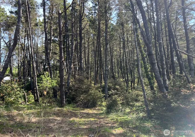 Photo 2 of Sale Pending at 1101 E Lot 231st Ln, Ocean Park, WA 98640 | MLS# NWM2460156 | Listing updated on 2026-08-23