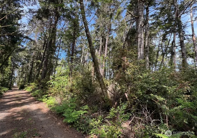 Photo 3 of Sale Pending at 1101 E Lot 231st Ln, Ocean Park, WA 98640 | MLS# NWM2460156 | Listing updated on 2026-08-23
