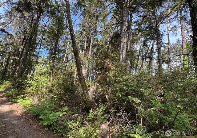 Photo 3 of Sale Pending at 1101 E Lot 231st Ln, Ocean Park, WA 98640 | MLS# NWM2460156 | Listing updated on 2026-08-23