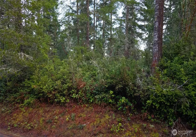 Photo 3 of Sale Pending at 12711 144th Avenue NW, Gig Harbor, WA 98329 | MLS# NWM2461135 | Listing updated on 2026-06-13