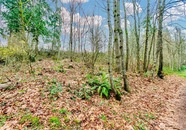 Photo 4 of Sale Pending at 20508 40th Avenue Ct E, Spanaway, WA 98387 | MLS# NWM2462845 | Listing updated on 2026-06-16