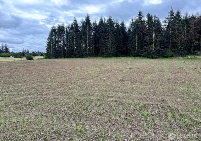 Photo 3 of Sale Pending at 0 Xxx Se 303 Ave, Washougal, WA 98671 | MLS# NWM2464025 | Listing updated on 2026-06-16