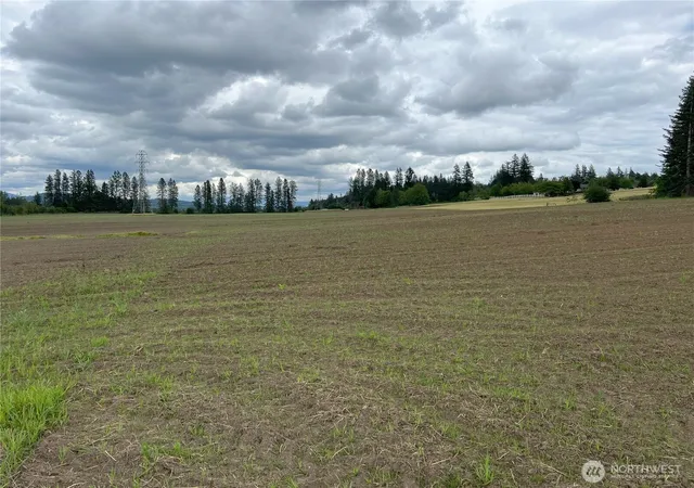 Photo 3 of Sale Pending at 0 Xxx SE 303 Ave, Washougal, WA 98671 | MLS# NWM2464025 | Listing updated on 2026-06-16