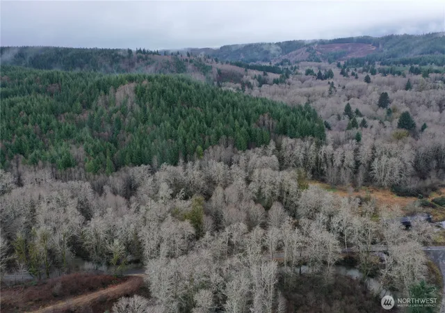 Photo 3 of Land for sale at 828 Wilkie Ln, Montesano, WA 98563 | MLS# NWM2466064 | Listing updated on 2026-06-16