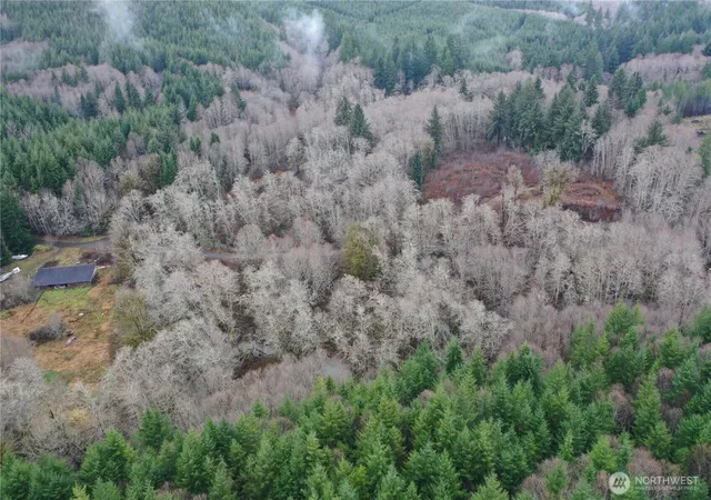 Photo 4 of Land for sale at 828 Wilkie Ln, Montesano, WA 98563 | MLS# NWM2466064 | Listing updated on 2026-06-16
