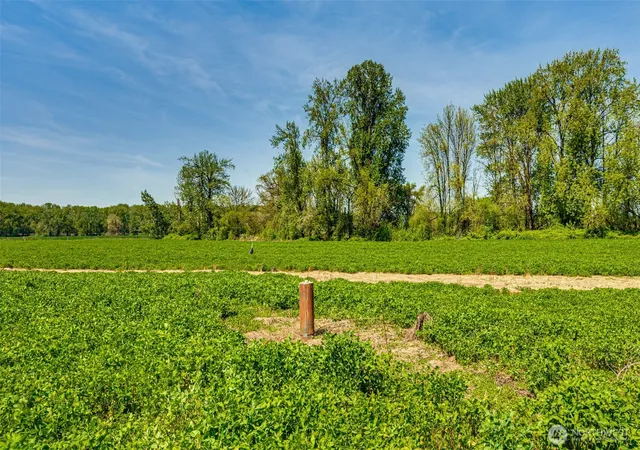 Photo 2 of Sale Pending at 0 Whalen, Woodland, WA 98674 | MLS# NWM2466669 | Listing updated on 2026-09-25