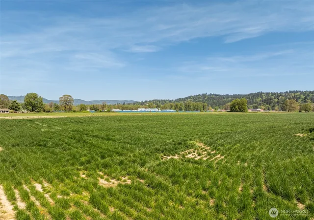 Photo 3 of Sale Pending at 0 Whalen, Woodland, WA 98674 | MLS# NWM2466669 | Listing updated on 2026-09-25