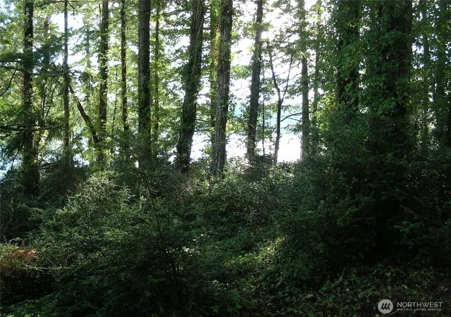 Photo 2 of Land for sale at 0 E Murray Rd S, Grapeview, WA 98546 | MLS# NWM2467437 | Listing updated on 2026-09-30