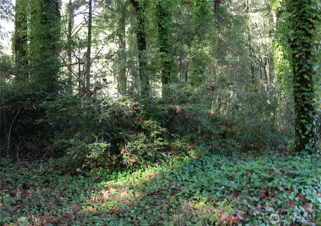 Photo 3 of Land for sale at 0 E Murray Rd S, Grapeview, WA 98546 | MLS# NWM2467437 | Listing updated on 2026-09-30