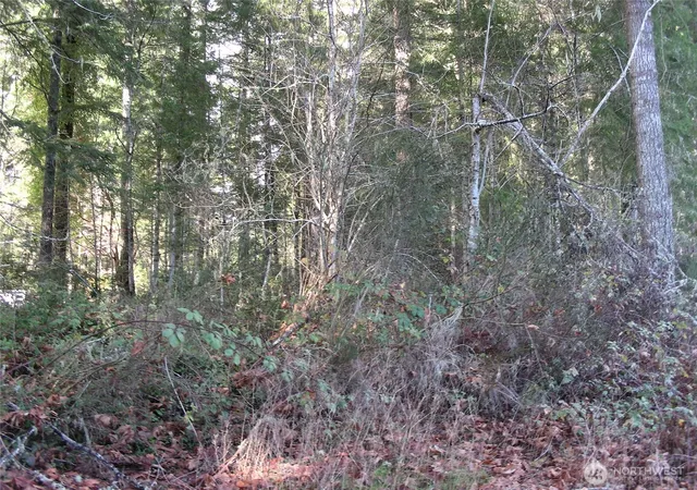 Photo 3 of Land for sale at 0 E Murray Rd S, Grapeview, WA 98546 | MLS# NWM2467437 | Listing updated on 2026-09-30
