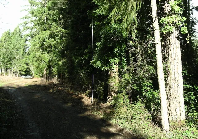 Photo 4 of Land for sale at 0 E Murray Rd S, Grapeview, WA 98546 | MLS# NWM2467437 | Listing updated on 2026-09-30