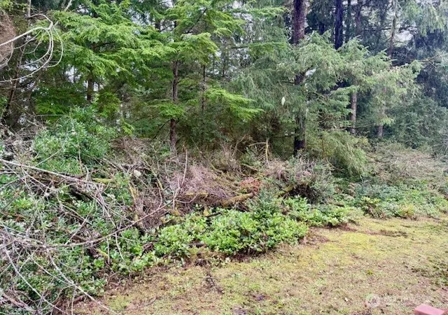 Photo 4 of Sale Pending at 2002 200th Lane, Ocean Park, WA 98640 | MLS# NWM2467917 | Listing updated on 2026-09-25