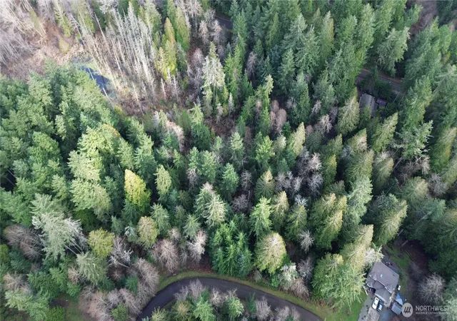 Photo 2 of Sale Pending at 12719 & 12723 96th St Ct, Anderson Island, WA 98303 | MLS# NWM2469582 | Listing updated on 2026-08-29
