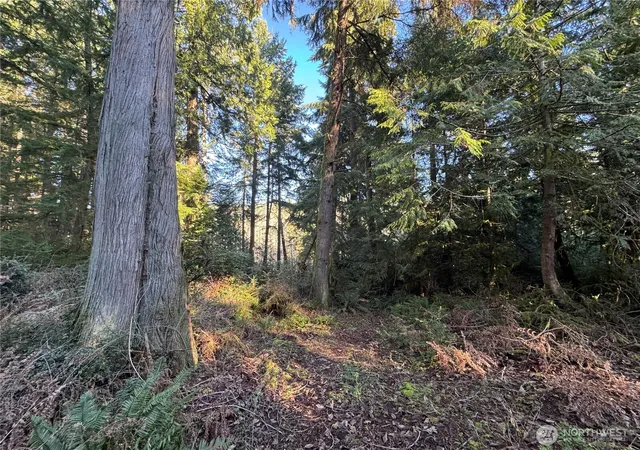 Photo 3 of Sale Pending at 12719 & 12723 96th St Ct, Anderson Island, WA 98303 | MLS# NWM2469582 | Listing updated on 2026-08-29