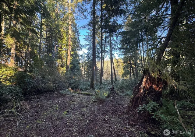Photo 3 of Sale Pending at 12719 & 12723 96th St Ct, Anderson Island, WA 98303 | MLS# NWM2469582 | Listing updated on 2026-08-29