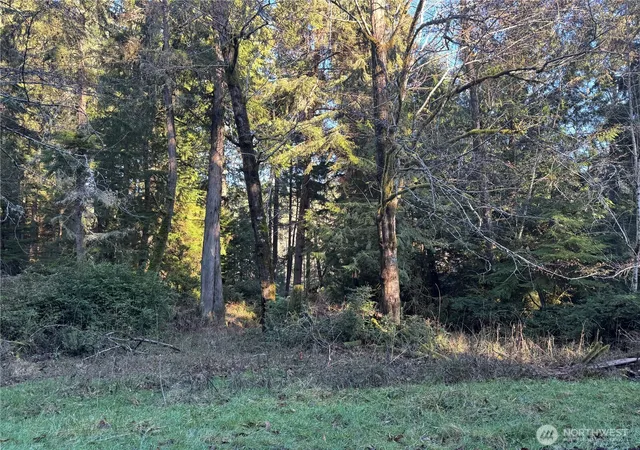 Photo 4 of Sale Pending at 12719 & 12723 96th St Ct, Anderson Island, WA 98303 | MLS# NWM2469582 | Listing updated on 2026-08-29