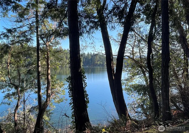 Photo 3 of Single family home for sale at 17812 Clear Lake Blvd Se, Yelm, WA 98597 | MLS# NWM2469653 | Listing updated on 2026-09-28