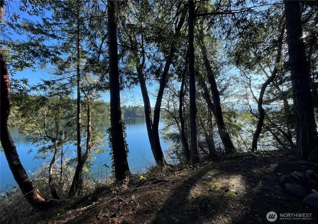 Photo 4 of Single family home for sale at 17812 Clear Lake Blvd SE, Yelm, WA 98597 | MLS# NWM2469653 | Listing updated on 2026-09-28