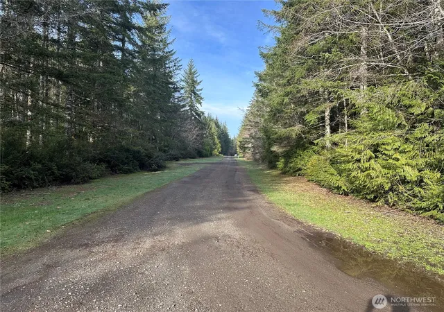 Photo 1 of Sale Pending at 0 Willchar Blvd, Shelton, WA 98584 | MLS# NWM2476875 | Listing updated on 2026-08-13
