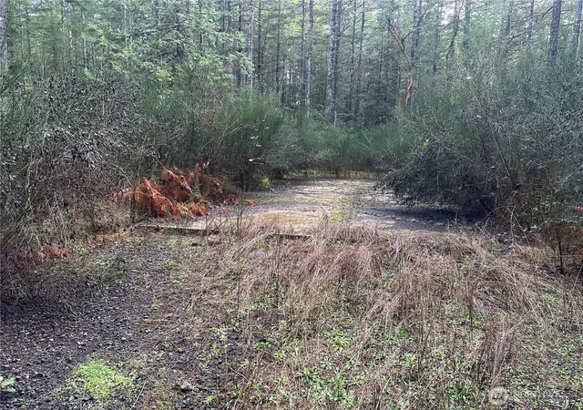 Photo 3 of Sale Pending at 0 Willchar Blvd, Shelton, WA 98584 | MLS# NWM2476875 | Listing updated on 2026-08-13