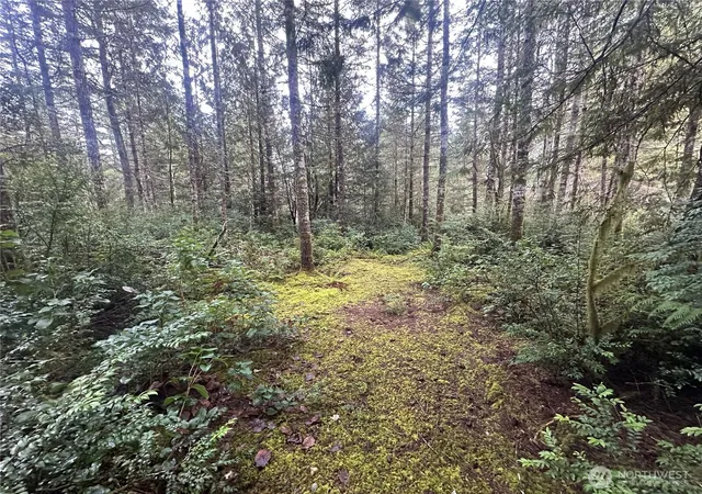 Photo 3 of Sale Pending at 0 Willchar Blvd, Shelton, WA 98584 | MLS# NWM2476875 | Listing updated on 2026-08-13