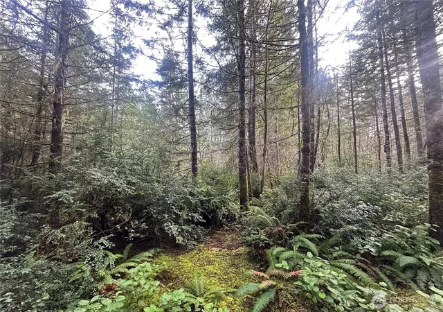 Photo 4 of Sale Pending at 0 Willchar Blvd, Shelton, WA 98584 | MLS# NWM2476875 | Listing updated on 2026-08-13