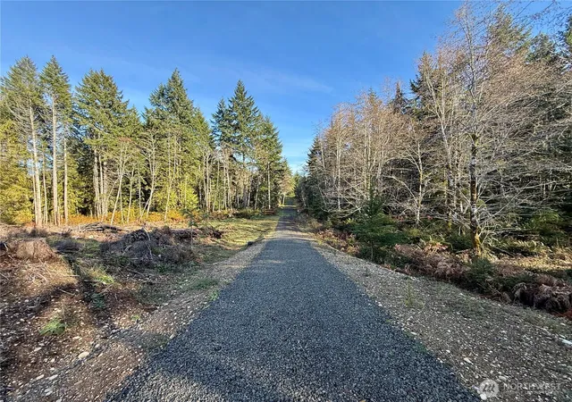 Photo 2 of Sale Pending at 250 E Solbakk Veien Rd, Shelton, WA 98584 | MLS# NWM2477930 | Listing updated on 2026-08-10