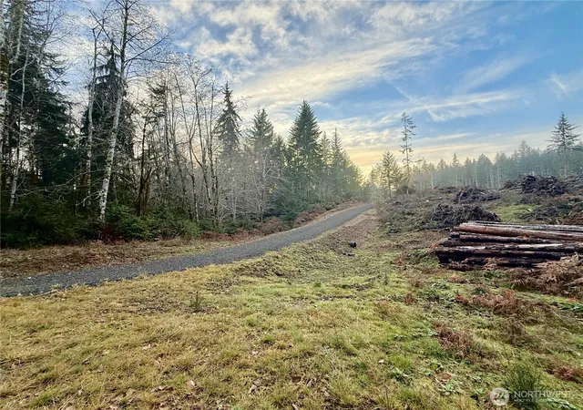Photo 3 of Sale Pending at 250 E Solbakk Veien Rd, Shelton, WA 98584 | MLS# NWM2477930 | Listing updated on 2026-08-10